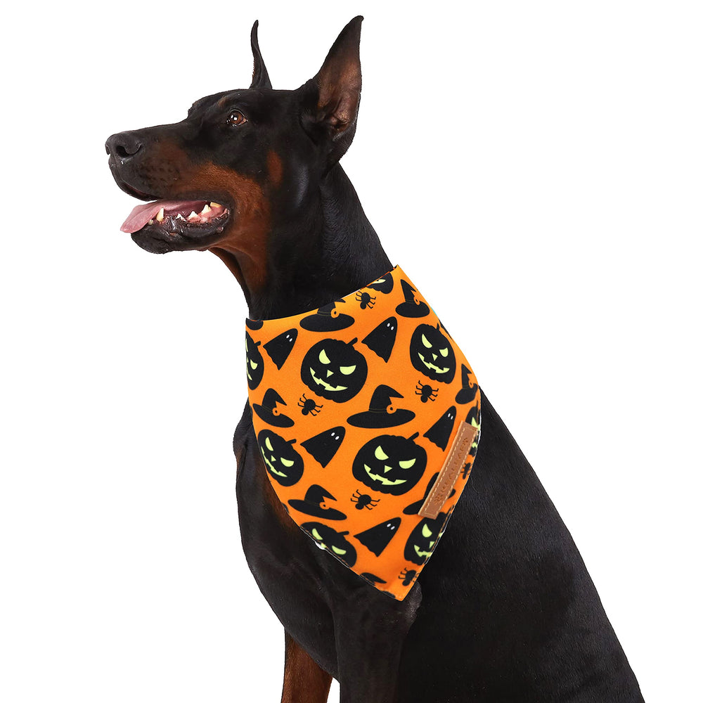 Realeaf Halloween bandana on dog ready for events and social photos