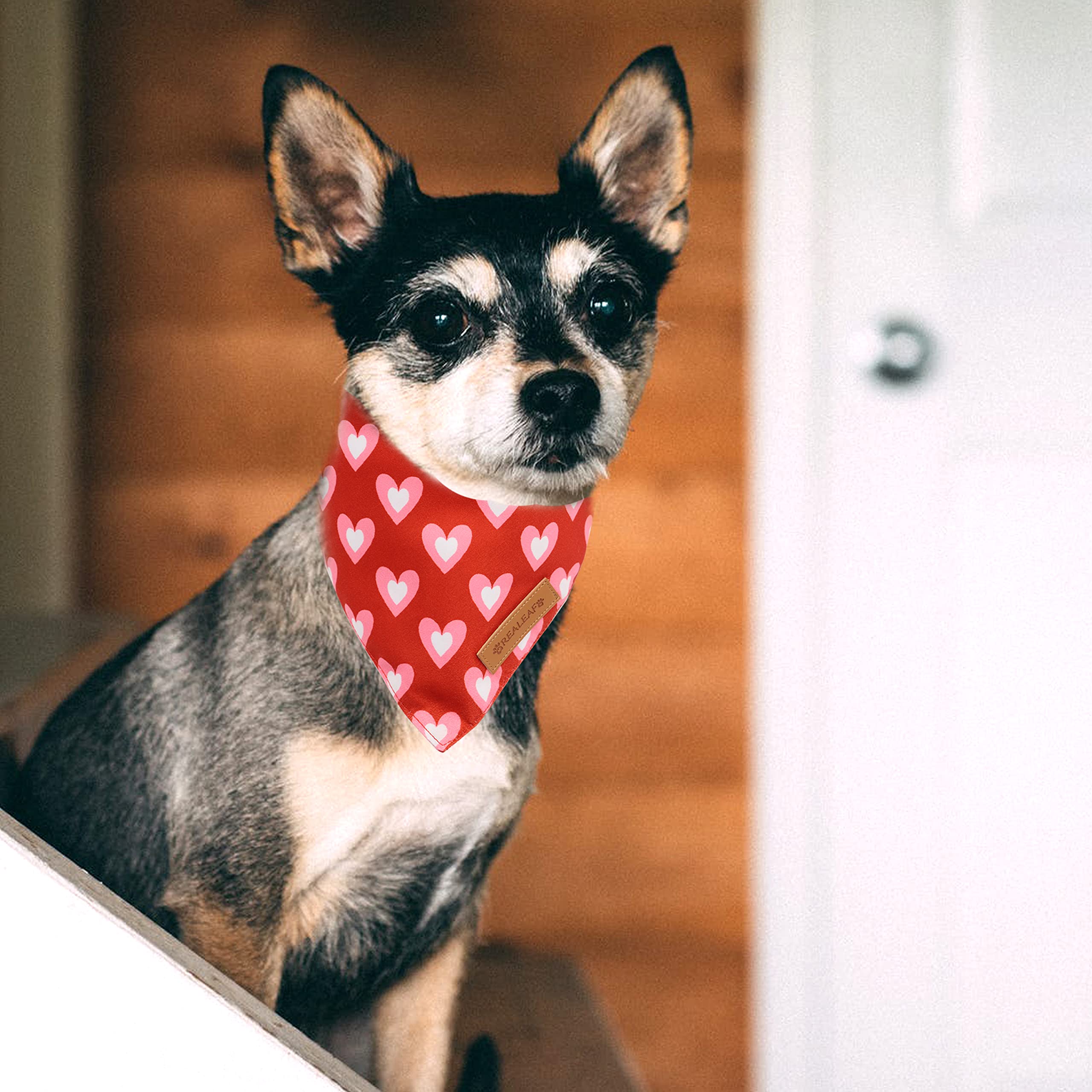Realeaf Love Dog Bandanas packaging photo shows two-pack gift-ready set.
