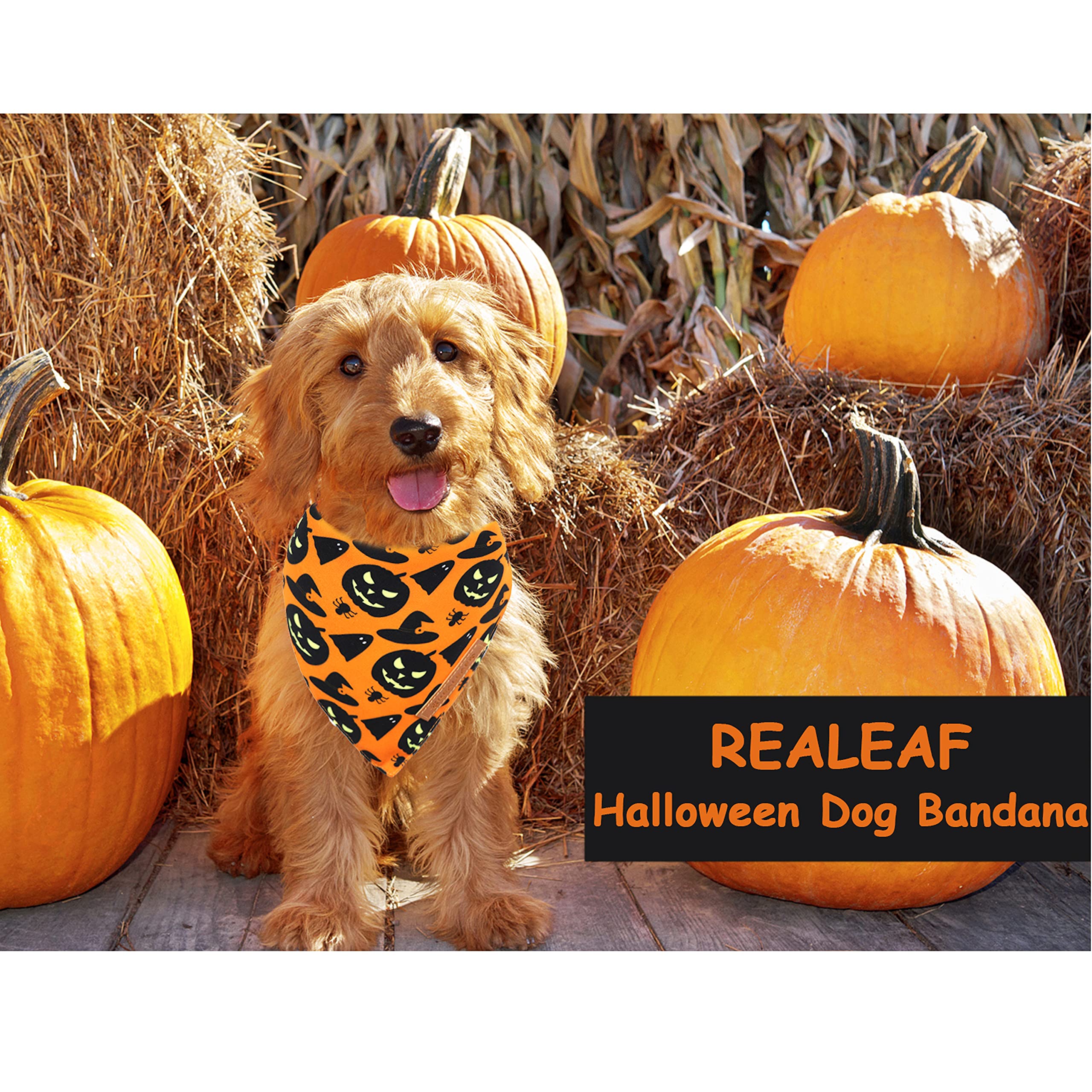Realeaf three sizes option helps find the right fit for most breeds