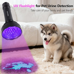 Realhunlee UV flashlight detects pet urine stains on carpets