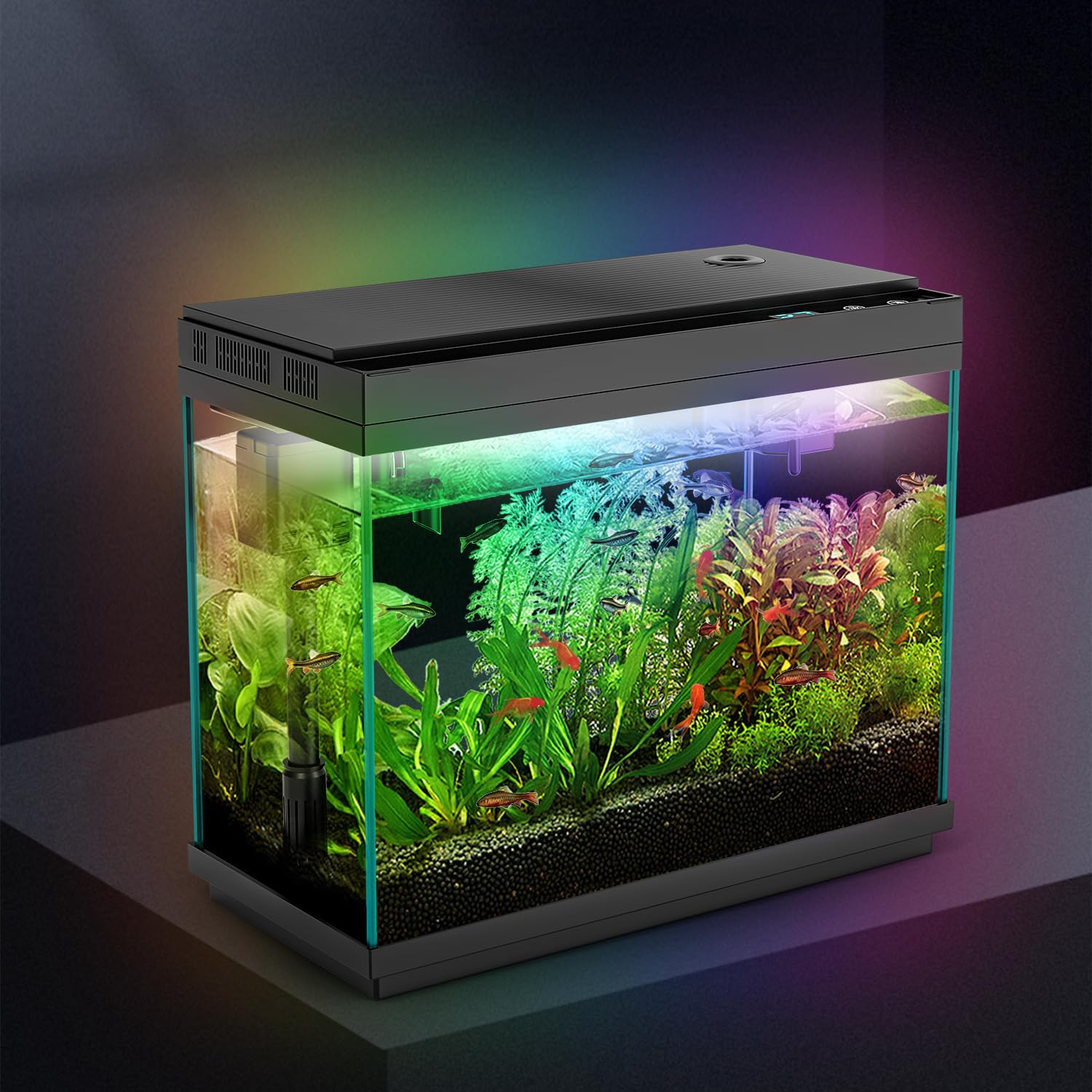Rechale smart aquarium compact design fits small spaces with modern styling