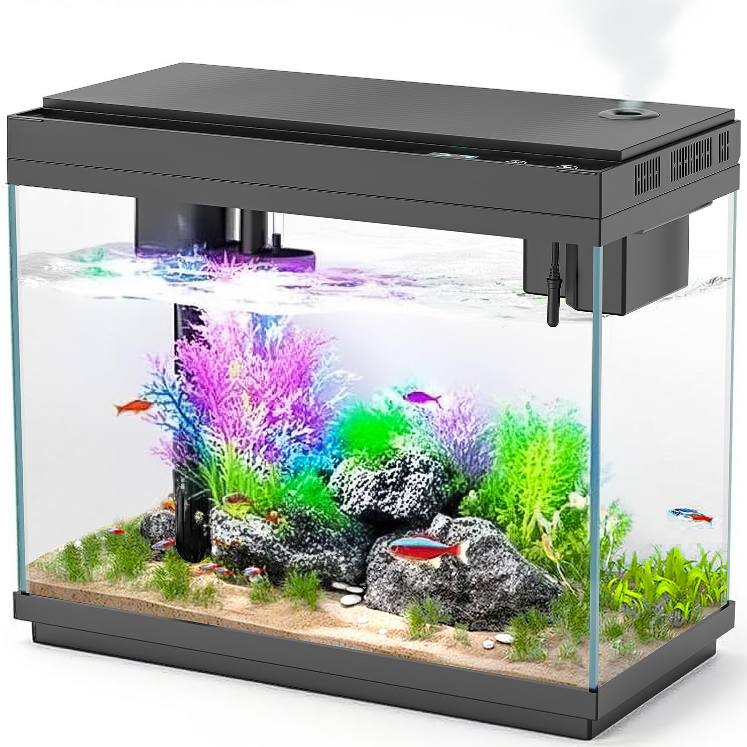 Rechale smart aquarium front glass view for crystal-clear underwater viewing and ambient lighting