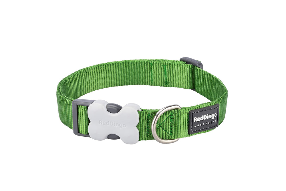 Red Dingo Classic Dog Collar adjustable-length demonstrates customizable, comfortable fit for growing dogs.