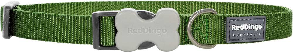 Red Dingo Classic Dog Collar buckleclip hero shows durable strength for daily adventures.