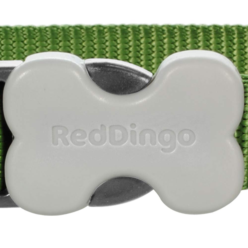 Red Dingo Classic Dog Collar stainless D-ring closeup highlights rust-resistant hardware for outdoor walks.