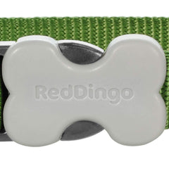 Red Dingo Classic Dog Collar stainless D-ring closeup highlights rust-resistant hardware for outdoor walks.