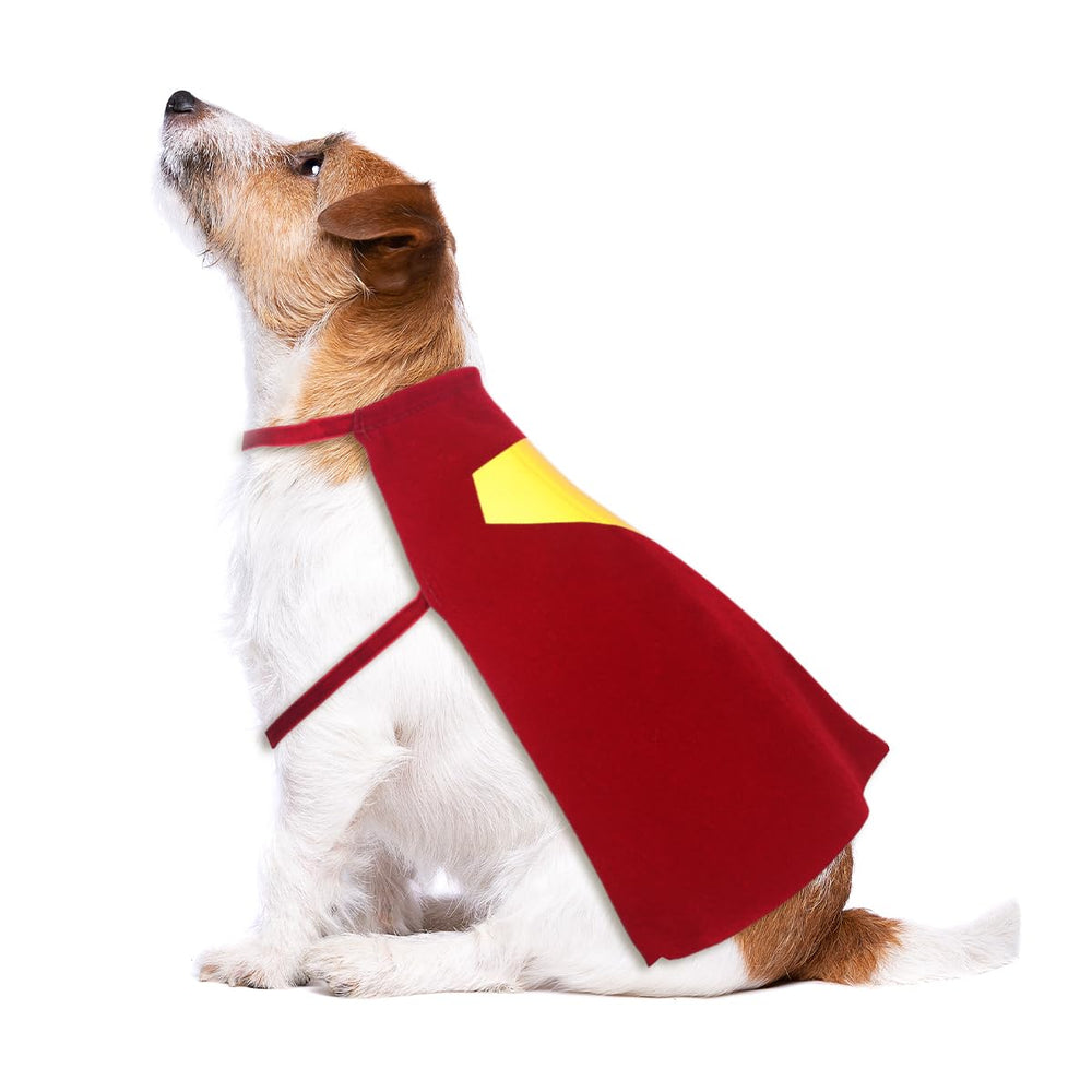 Red Dog Hero cape back view highlights secure two-ties design during playful trots.
