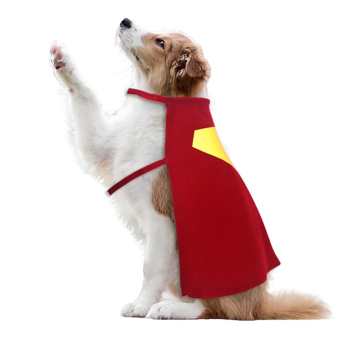 Red Dog Hero cape looks Insta-ready on bright red fabric under daylight.