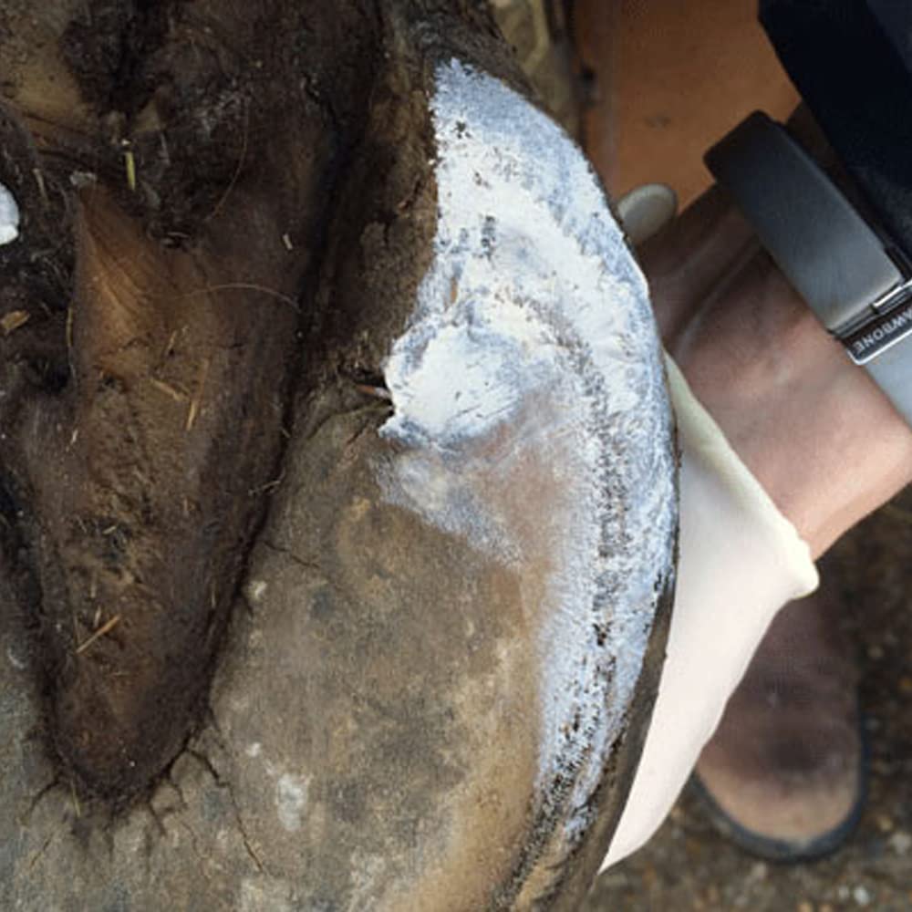 Red Horse Artimud Hoof Clay targets white line crevices and frog clefts.