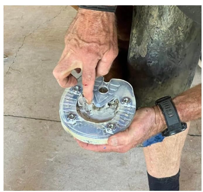 Red Horse Artimud seedy toe treatment illustrates preventive care for hoof wear