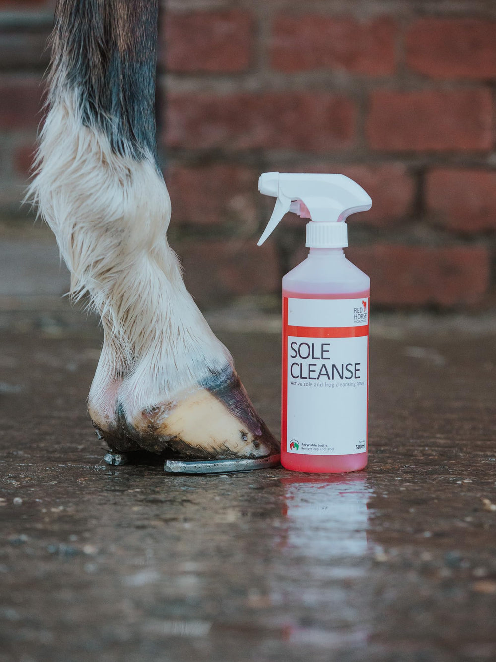 Red Horse Products Sole Cleanse refill packaging demonstrates eco-friendly concentrate for extended use