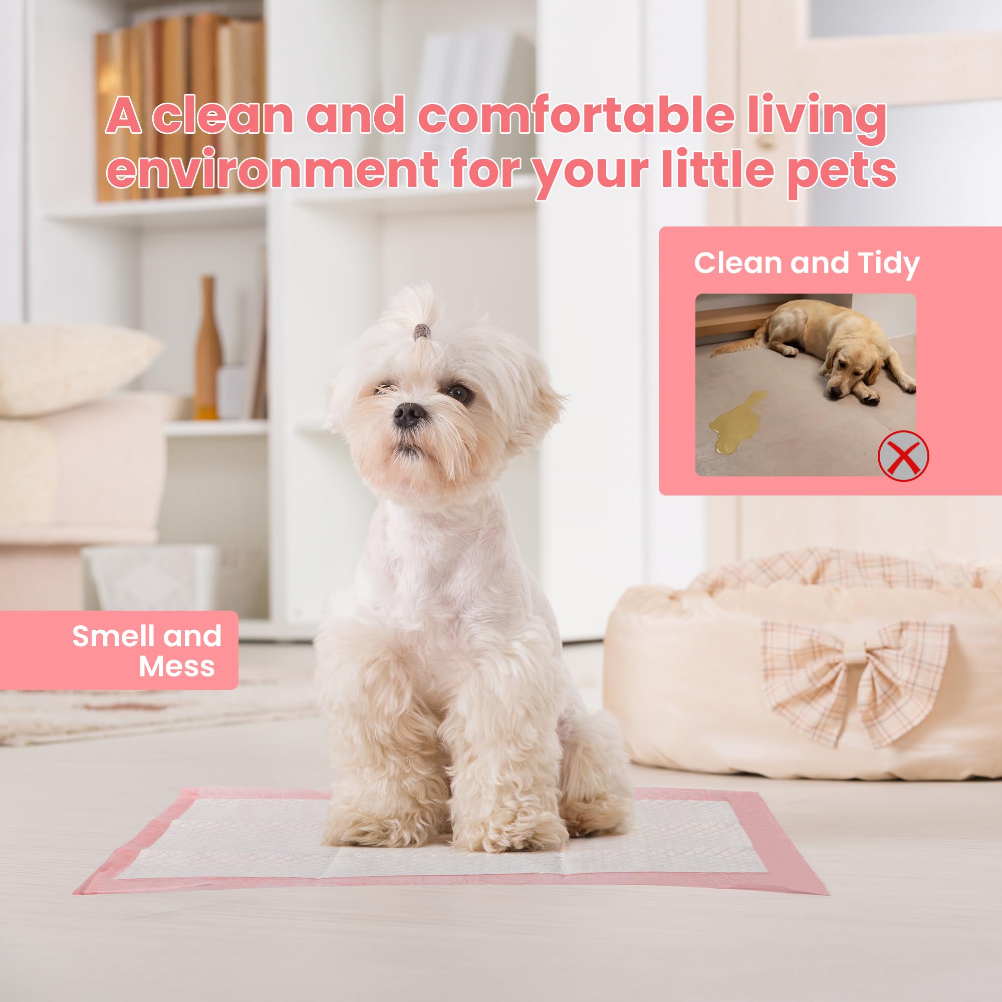 Red Rabbits pads on floor-protection use for house training