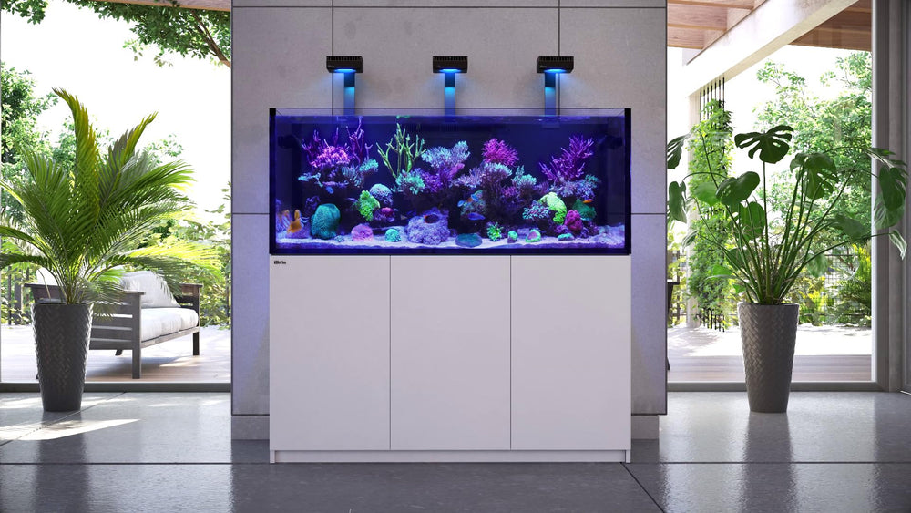 Red Sea Reef Foundation A reef-aquarium-setup picture illustrates balanced Ca and Sr for corals.