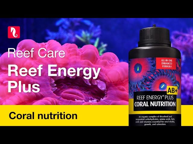 Red Sea Reef Energy Plus lab-testing reference image hints at quantified growth improvements.