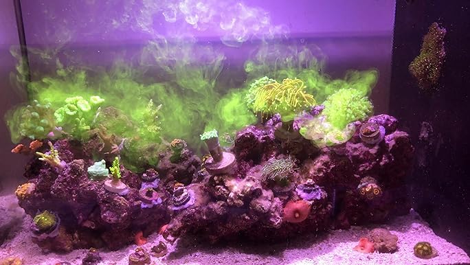 Red Sea Reef Energy Plus can be stored unrefrigerated for up to a week.