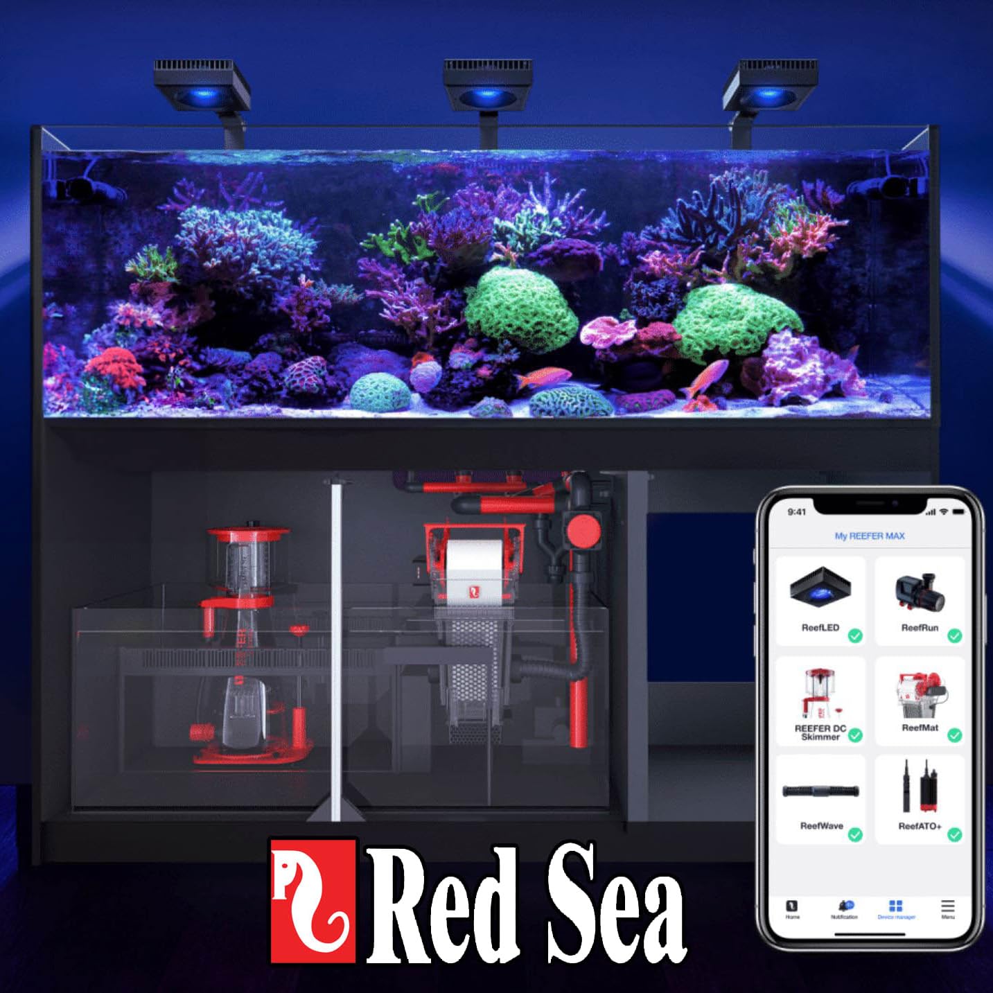 Red Sea Reef Foundation B Alkalinity helps maintain carbonate levels for thriving corals.
