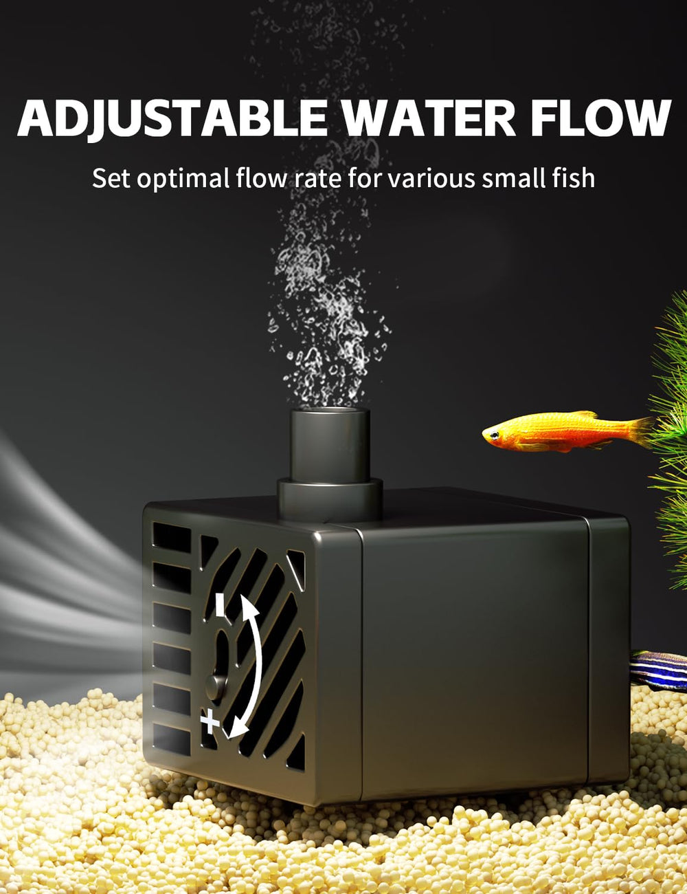 Back heater flow in Red Tail Fish 2.5-gallon system