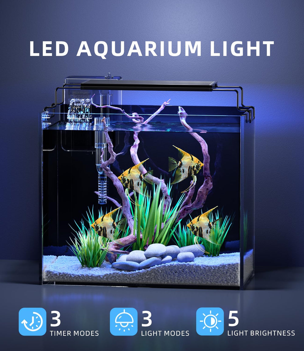 Red Tail Fish 3-gallon tank LED light demonstrates plant-friendly illumination options.