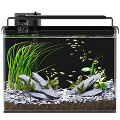 Red Tail Fish 5-gallon tank front view for clear observation and calm betta setup.