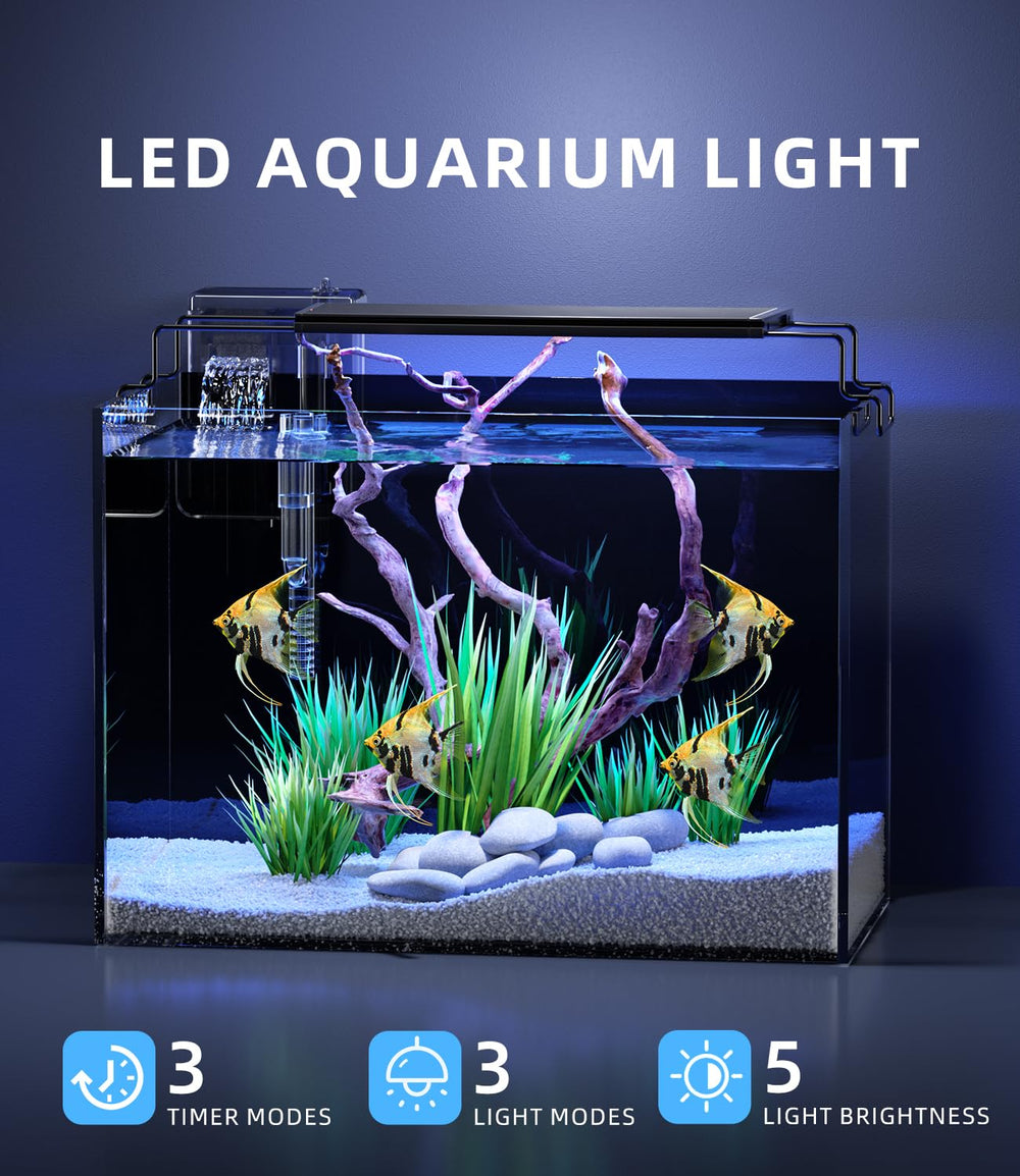 Red Tail Fish 5-gallon tank lid view showing tidy setup and hidden cords.