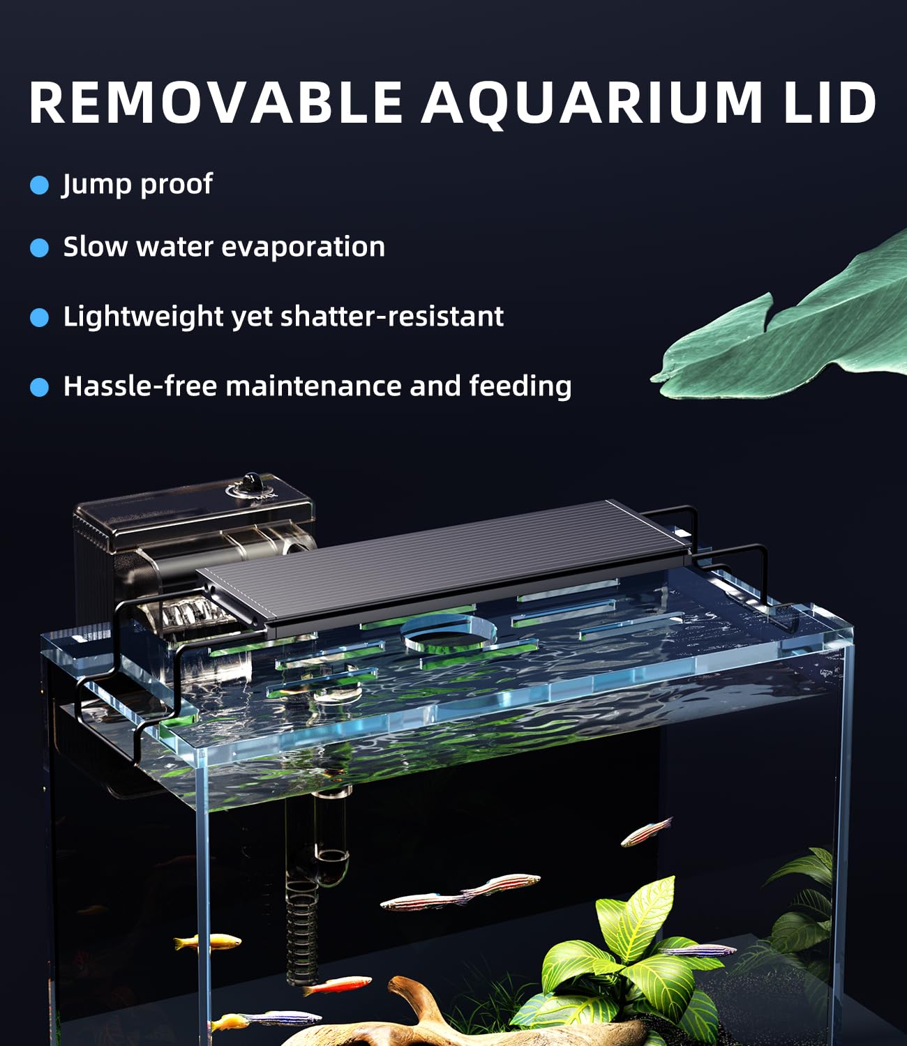 Red Tail Fish glass rimless tank offers clear, unobstructed viewing.