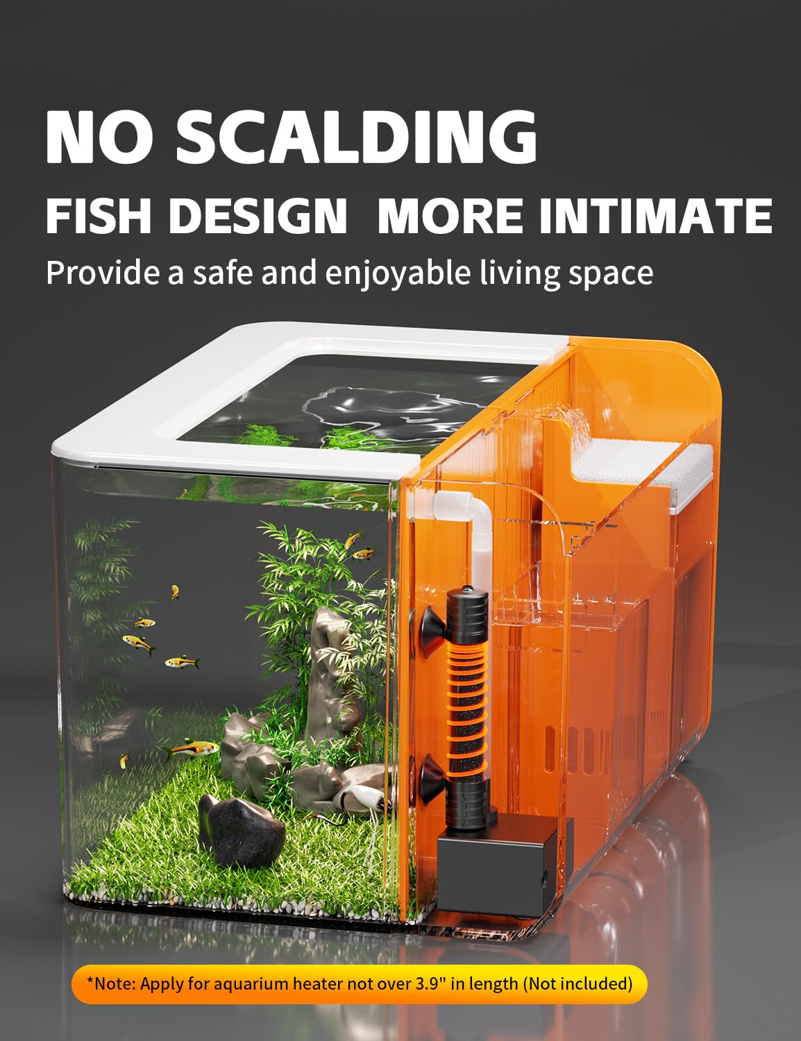 RED TAIL FISH one-piece tank with rounded corners reduces accidental contact.