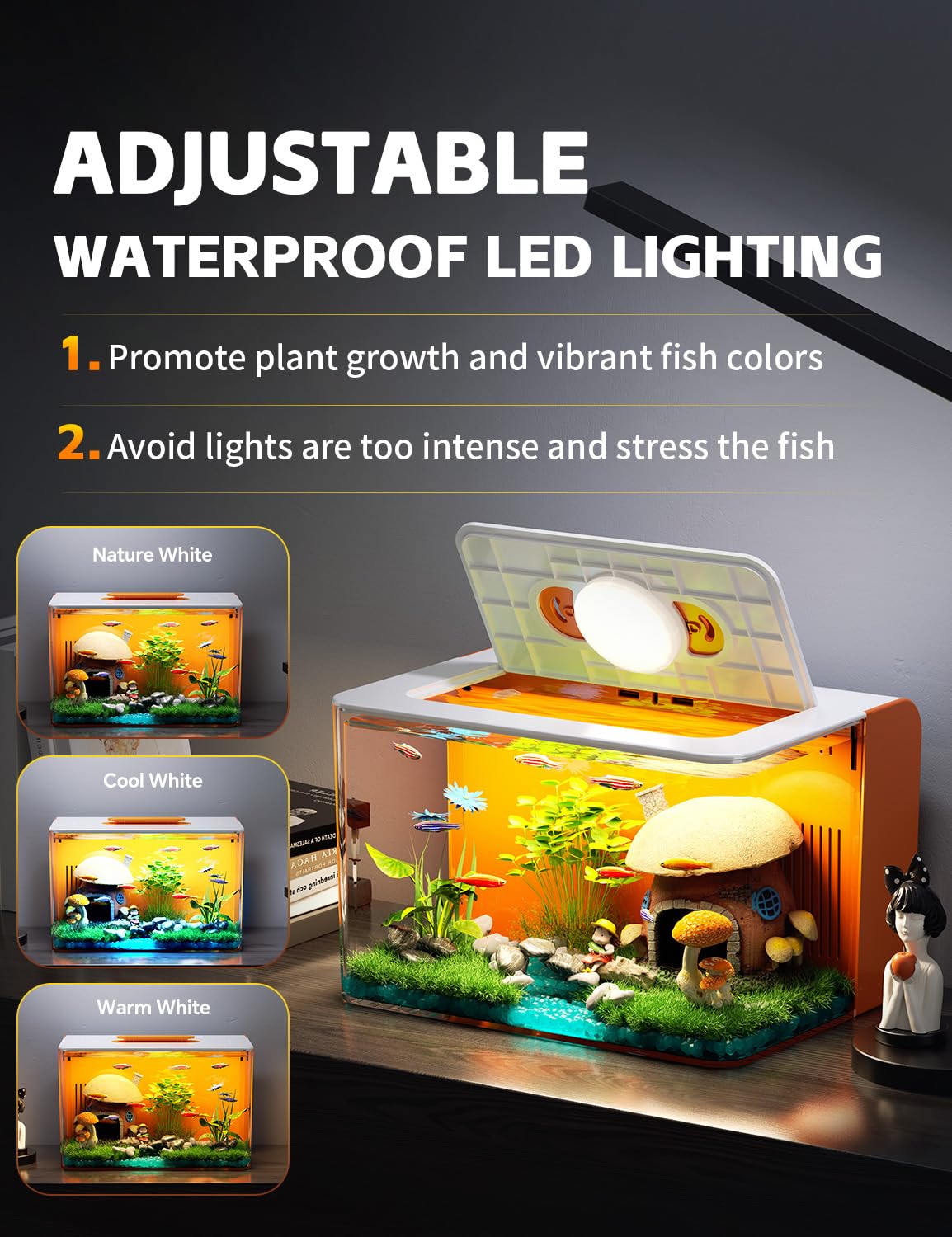 RED TAIL FISH starter kit contents provide beginner-friendly setup.