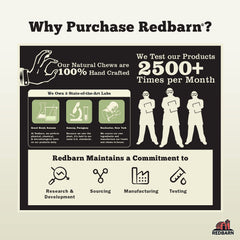 Redbarn Bully Rings dog-chewing-session shows engaging chew for mental stimulation.