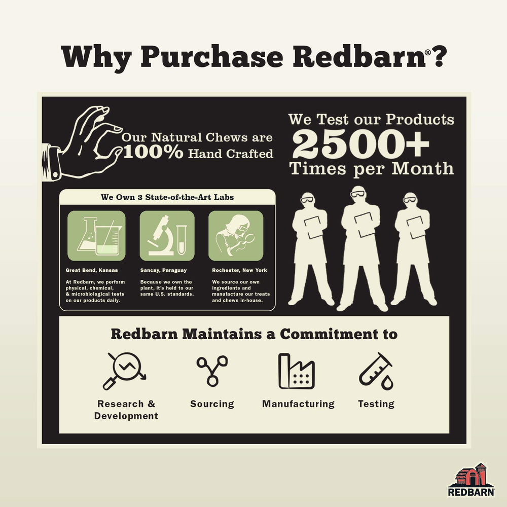 Redbarn Bully Stick Rings in training session highlights durable, distraction-worthy chew.