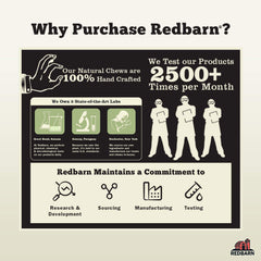 Redbarn Bully Stick Rings in training session highlights durable, distraction-worthy chew.