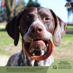 Redbarn Bully Stick Rings packaging shows case of 35 for ready-to-serve chews.