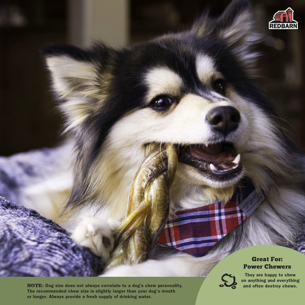 Redbarn bully stick slow roast juices highlights natural flavor and aroma.