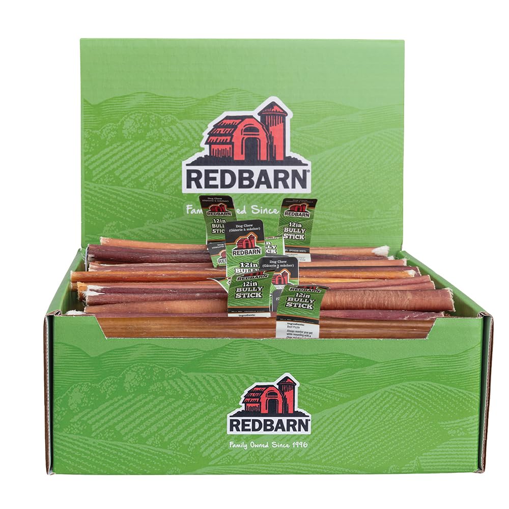 Redbarn Bully Sticks 12-inch front view shows a long-lasting chew for dogs and mental engagement
