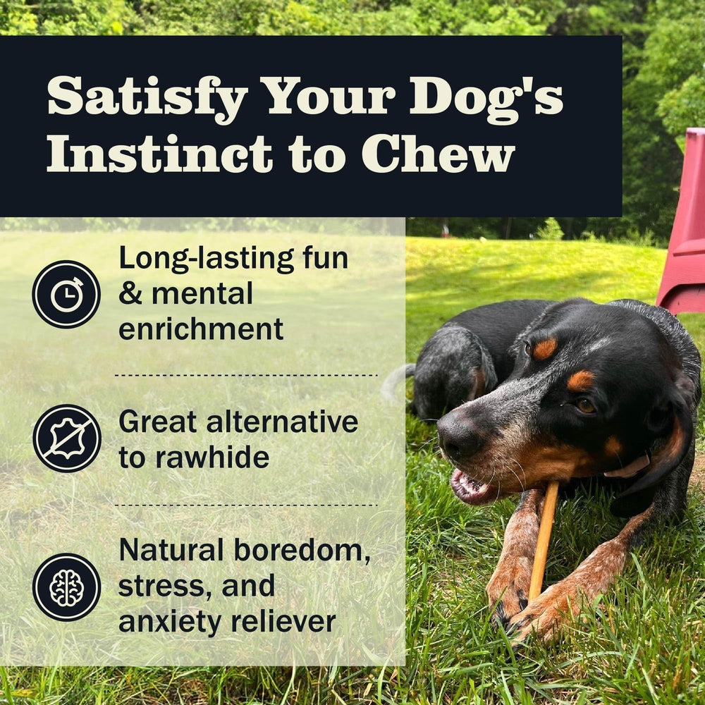 Redbarn Bully Sticks 12-inch case packaging demonstrates convenient packaging for chew time