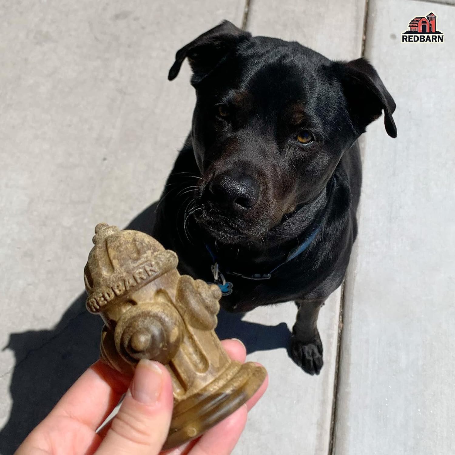 Redbarn Chew-A-Bulls all-natural ingredients provide a tasty wholesome bite.