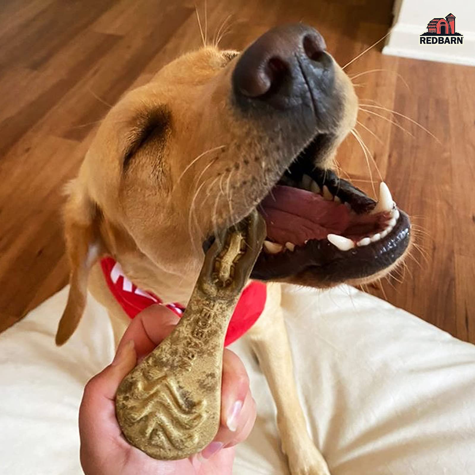 Redbarn Chew-A-Bulls small brush natural ingredients label highlights cumin and parsley.