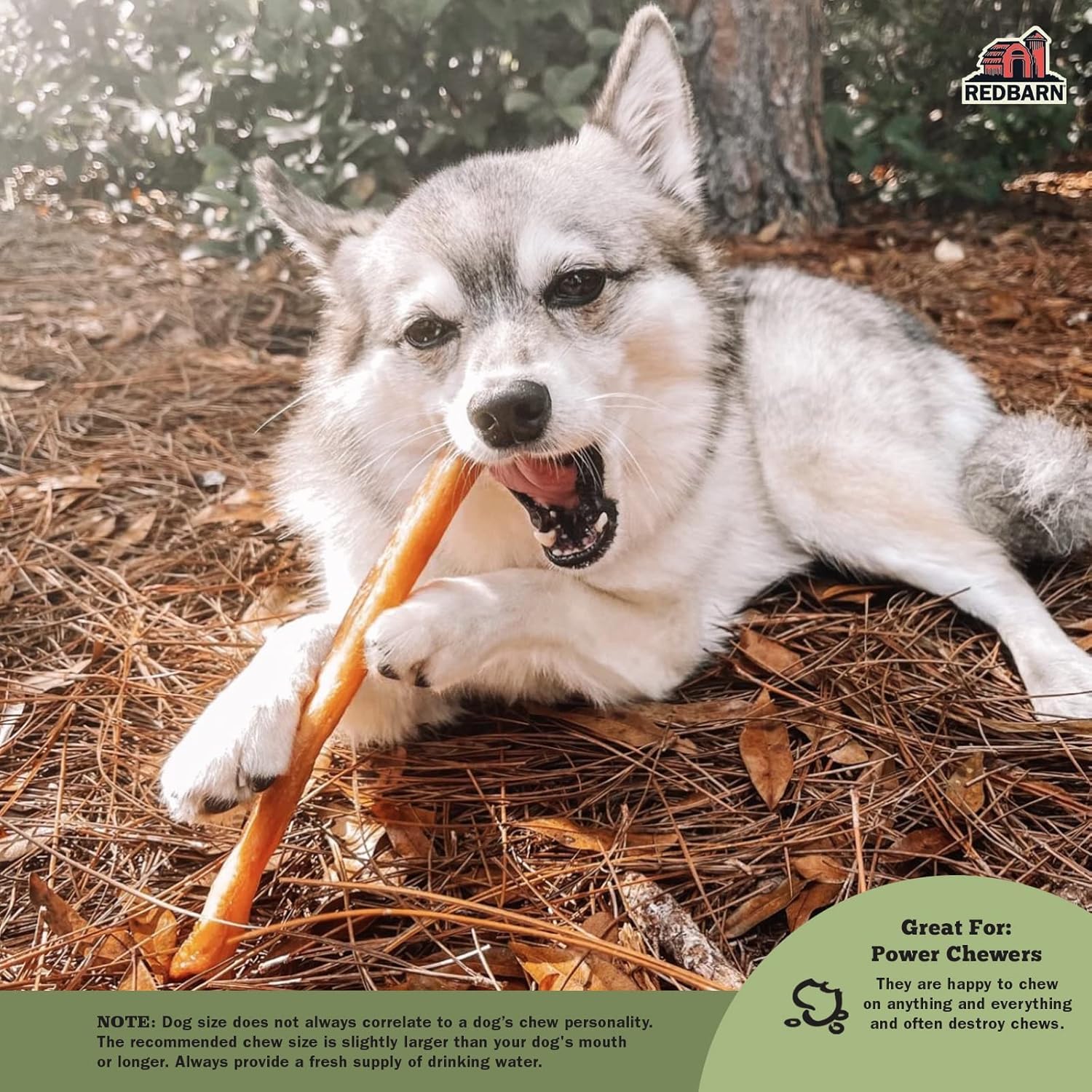 Redbarn Collagen Sticks bone texture close-up—tough, lasting chew for power chewers.
