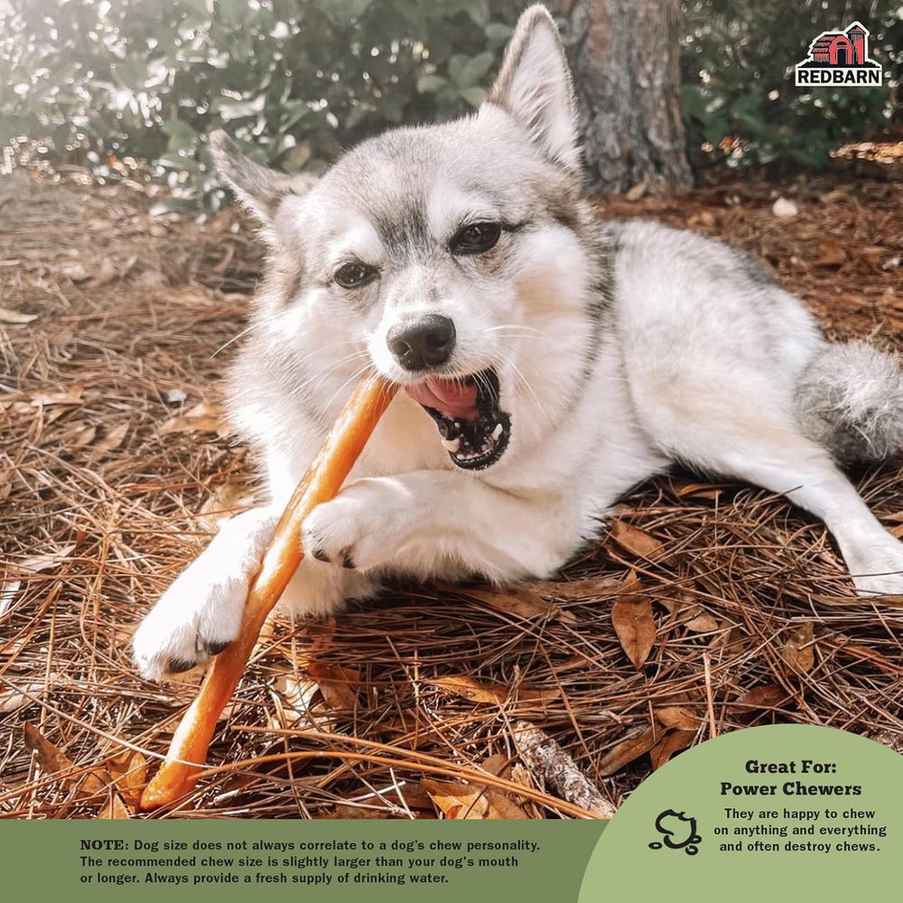 Redbarn Collagen Sticks bone texture close-up—tough, lasting chew for power chewers.