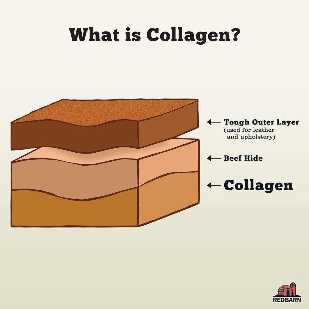 Redbarn Collagen Sticks on dog—long-lasting chew that may support joint comfort.