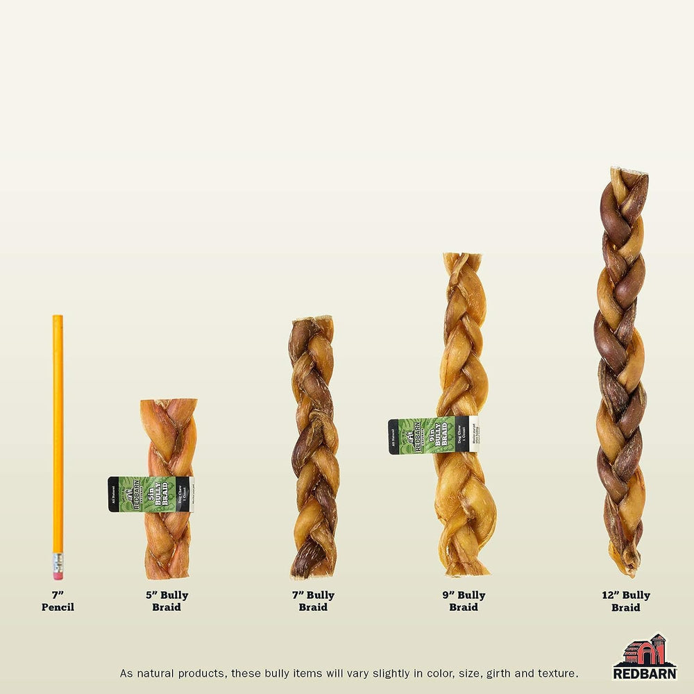 Redbarn dog chewing bully sticks: satisfy instinct while promoting dental-friendly chewing.
