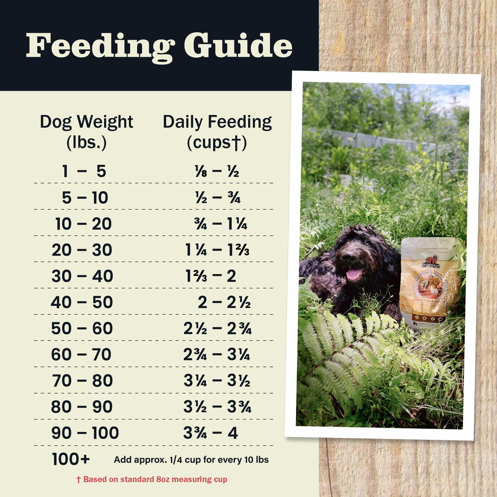 Redbarn Dog meal time joy captures bonding over nutritious food.