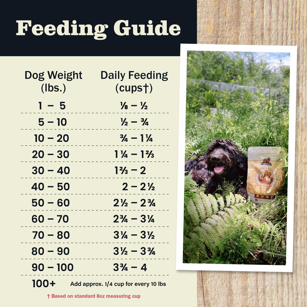 Redbarn Dog meal time joy captures bonding over nutritious food.