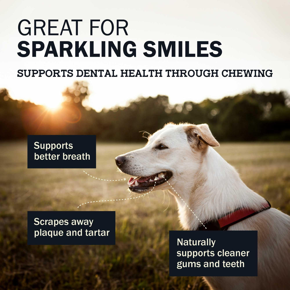 Redbarn Dur-A-Bulls dental-benefit-01: gentle gum massage may help plaque removal.