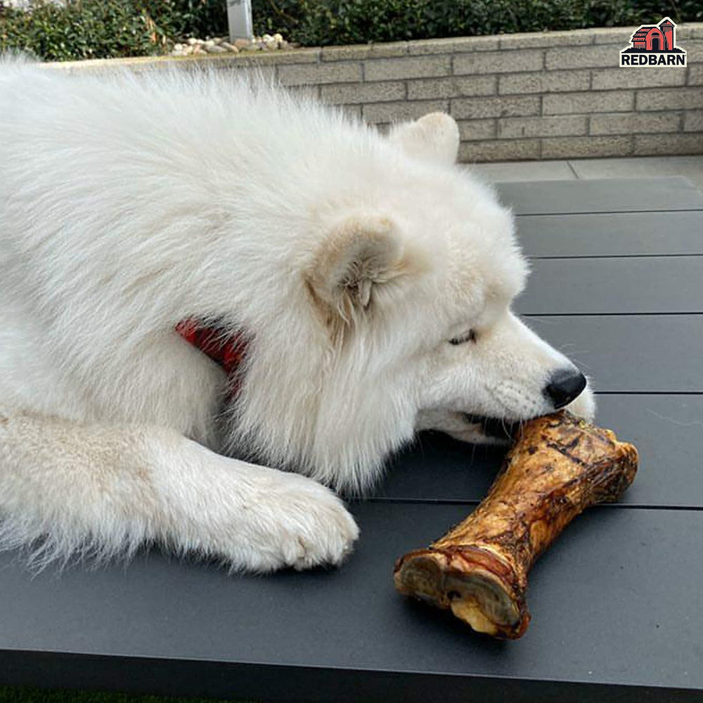 Redbarn Hueso Carnoso para Perros Grandes: textura durable para masticadores poderosos