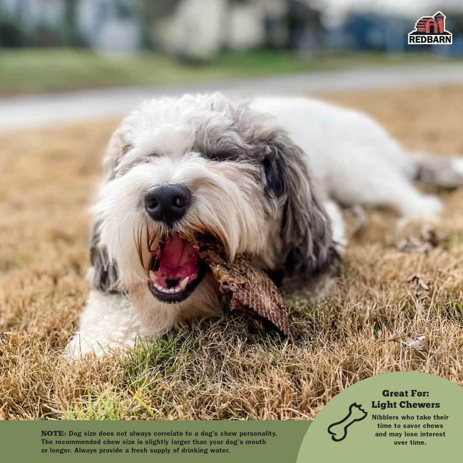 Redbarn Lamb Lung Filets single-ingredient label emphasizes grain-free, no artificial additives