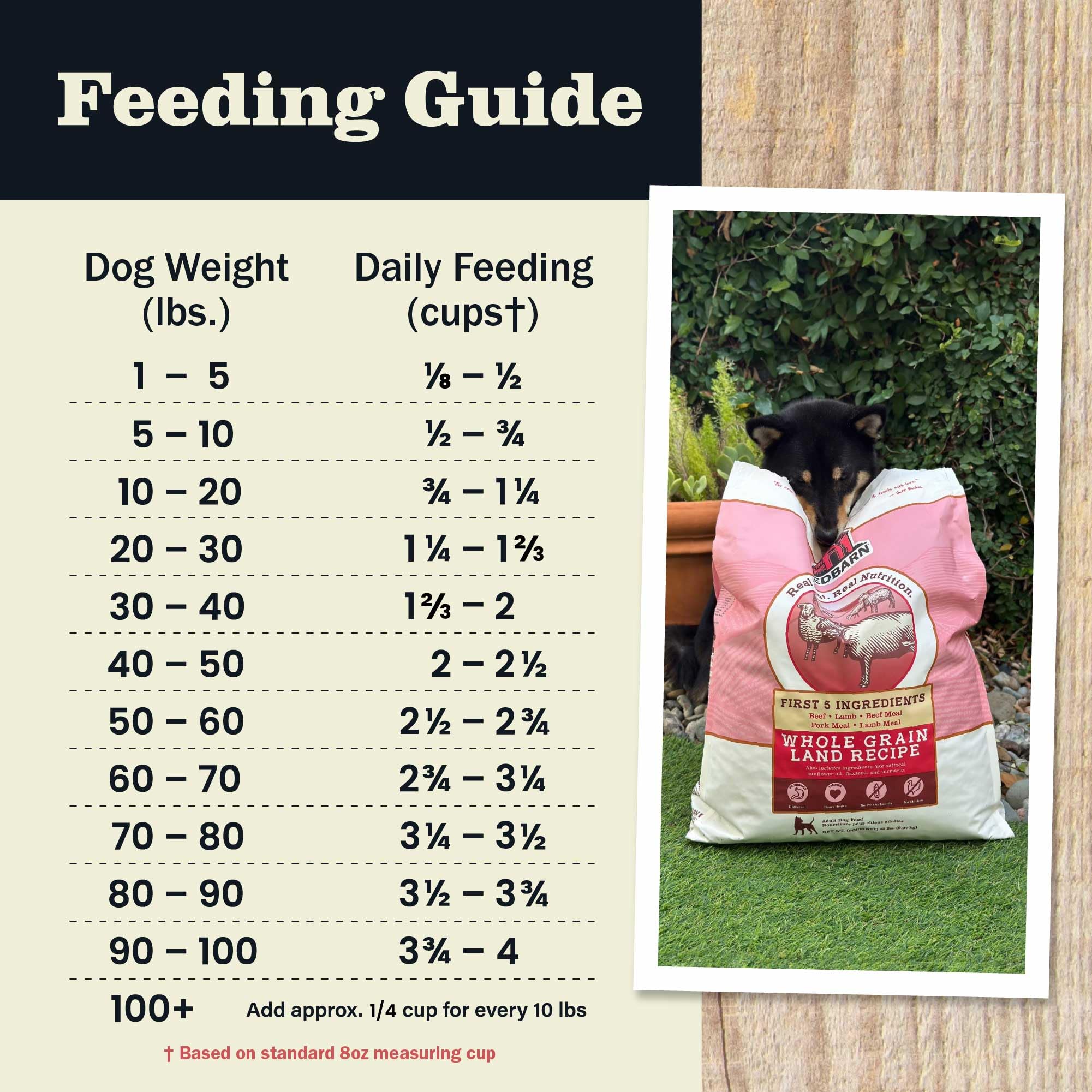 Dog enjoying Redbarn meal during mealtime