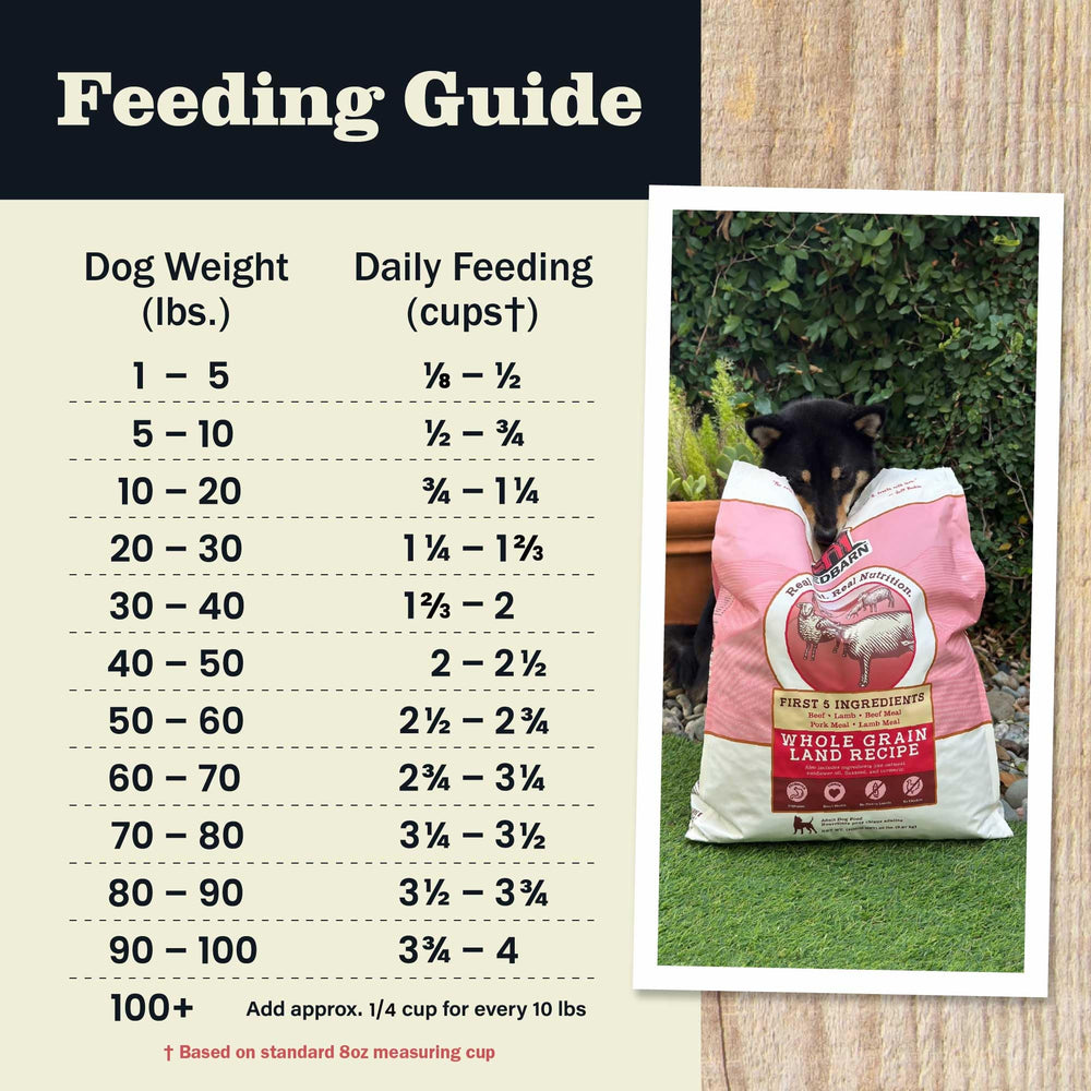Dog enjoying Redbarn meal during mealtime