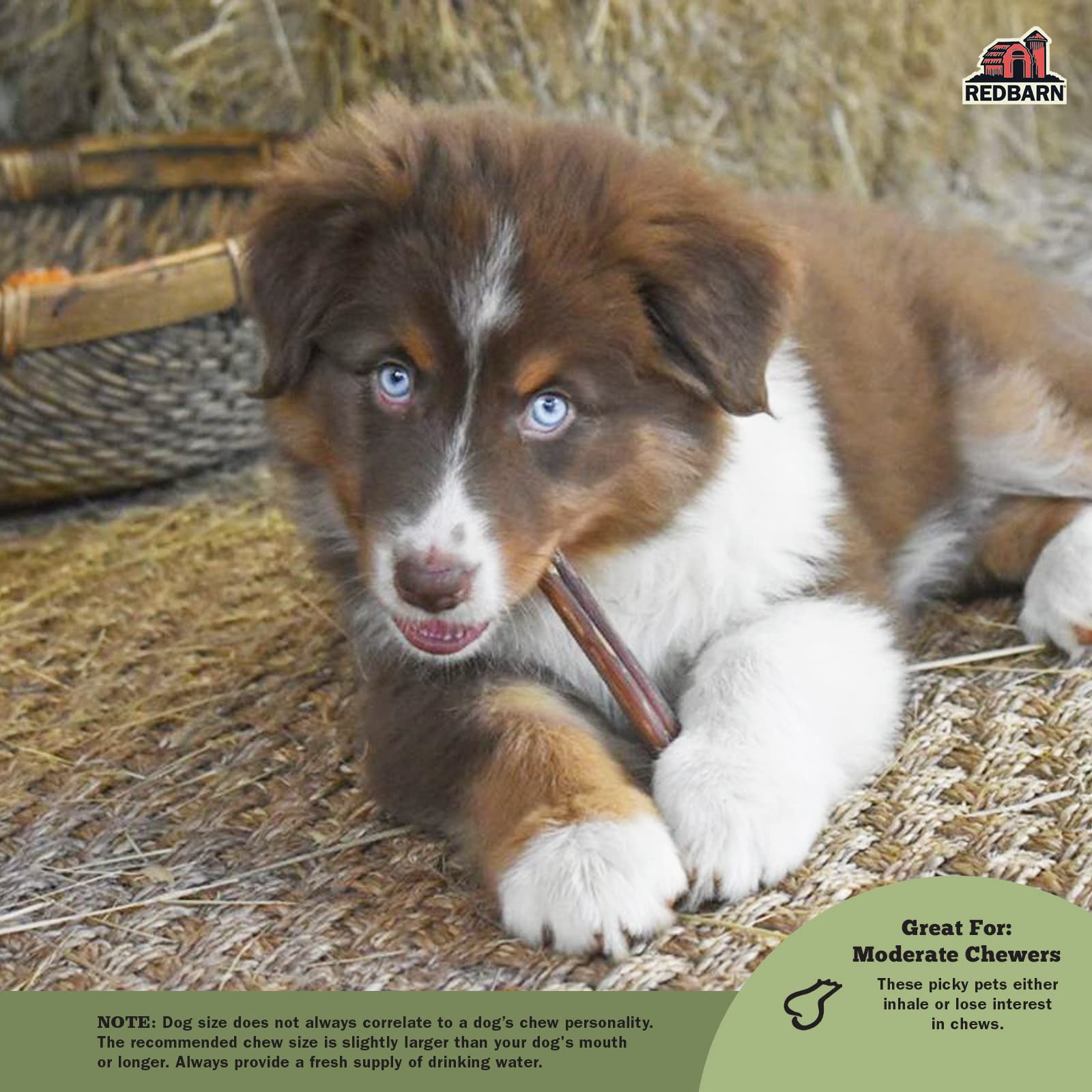 Redbarn odor-free bully sticks image – grain-free, all-natural chew for dogs.