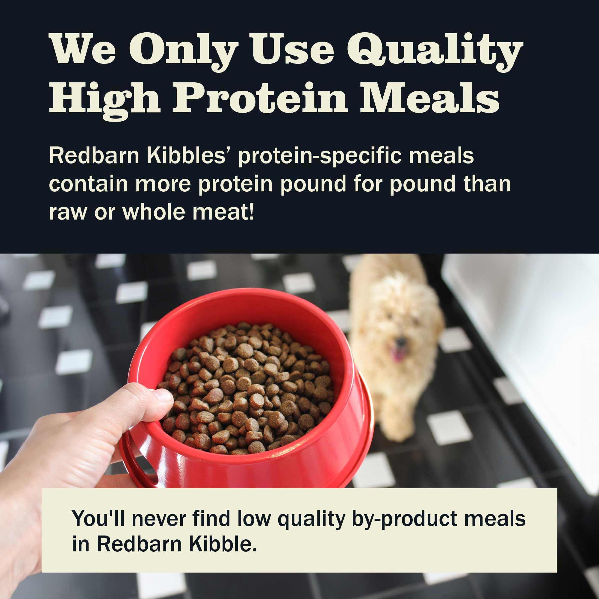 Redbarn omega-6-3 glossy coat close-up