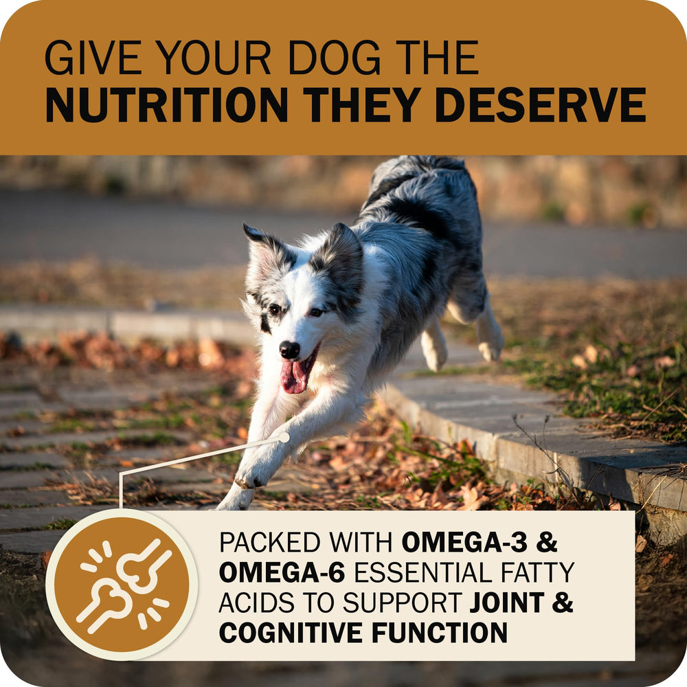 Redbarn Powerfood prebiotics probiotics bowl demonstrates digestive health support.
